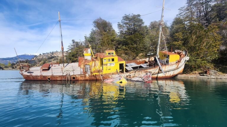 img 20251028 wa0035 (1)