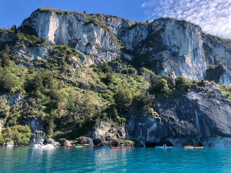 whatsapp image 2025 11 09 at 11.24.15 am