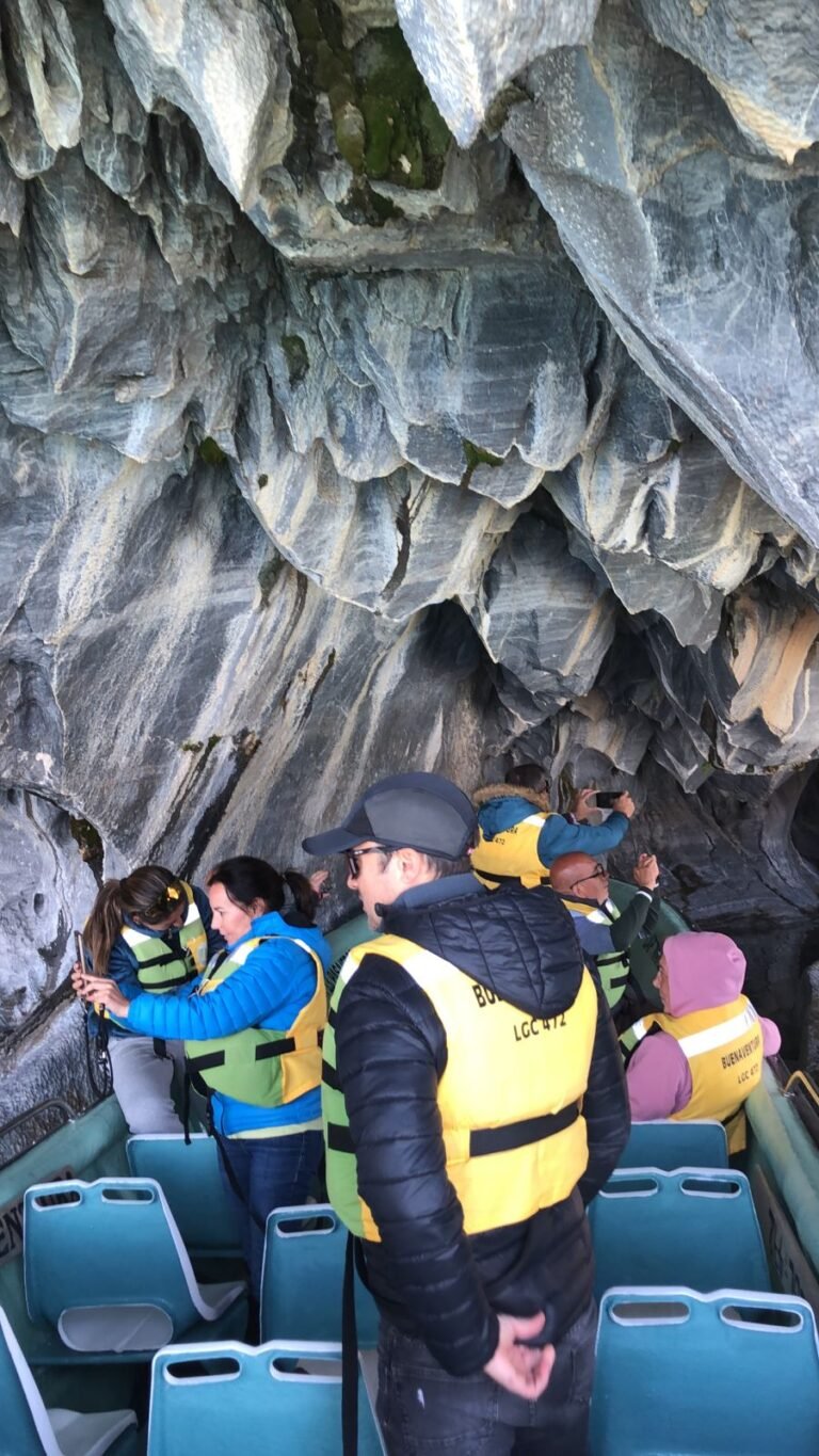 whatsapp image 2025 11 09 at 12.30.25 pm