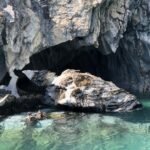 Quienes somos whatsapp image 2025 11 25 at 11.46.50 am